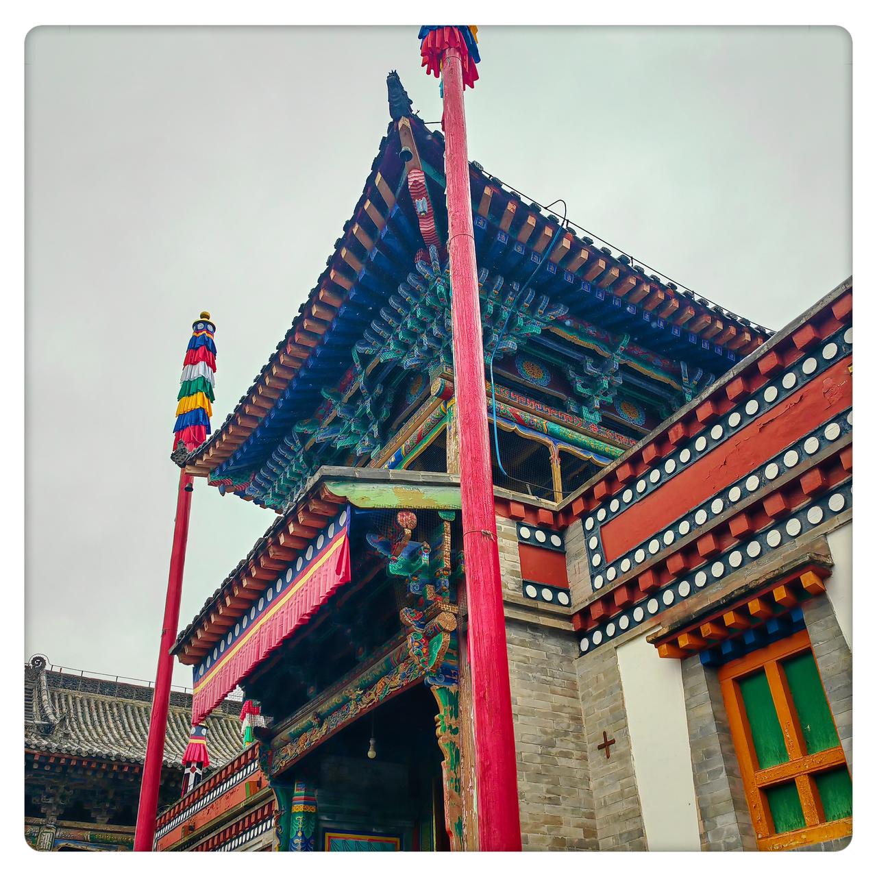 分享一张最近随手拍的照片青海塔尔寺