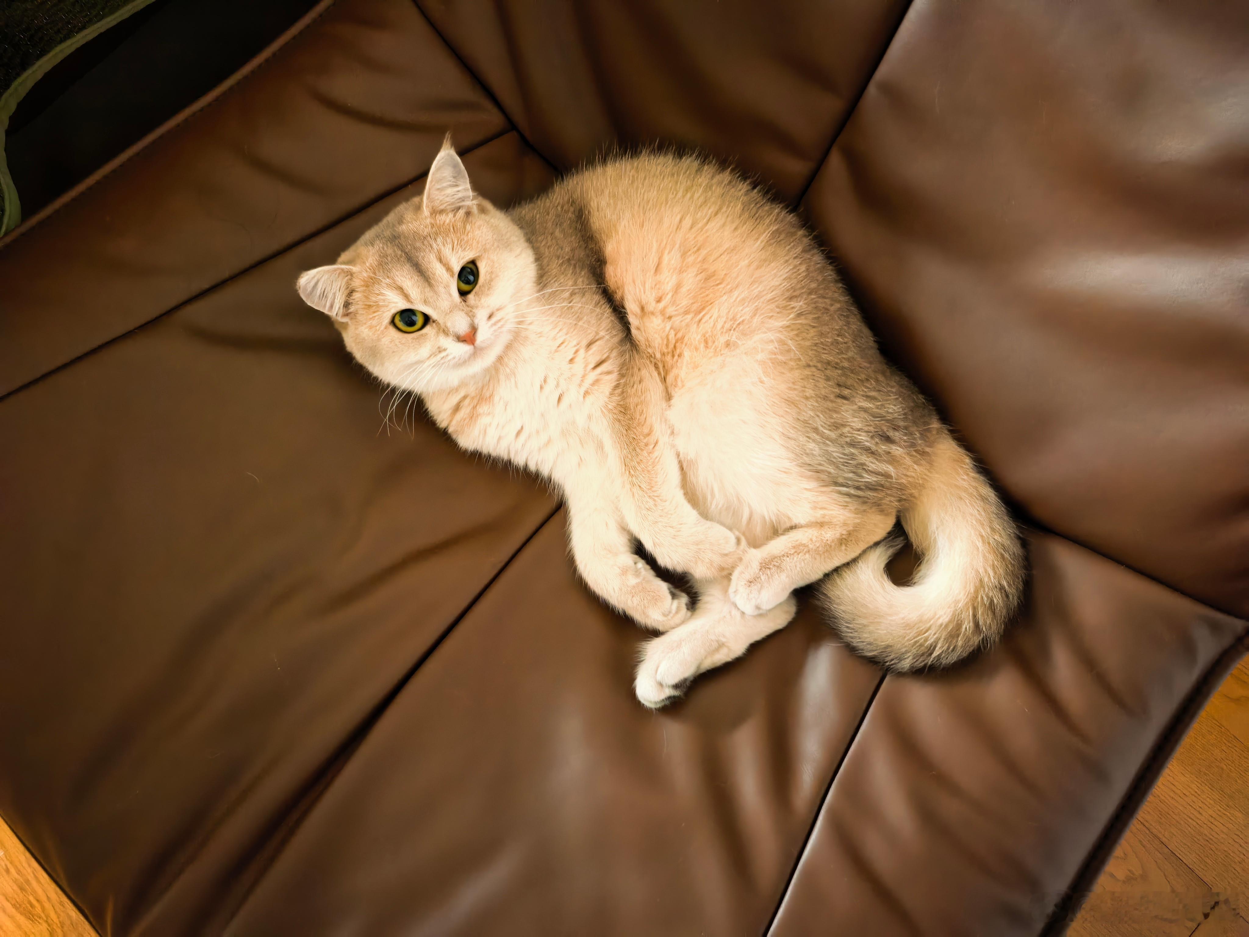 华为Mate70Air真机曝光唉，还没到宣传时间节点，打乱了后期营销节奏，可能要