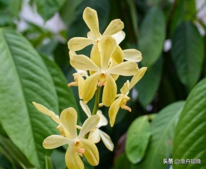 李光耀逝世11周年！李显龙发文深情缅怀！
 
3月23日，是新加坡国父李光耀逝世