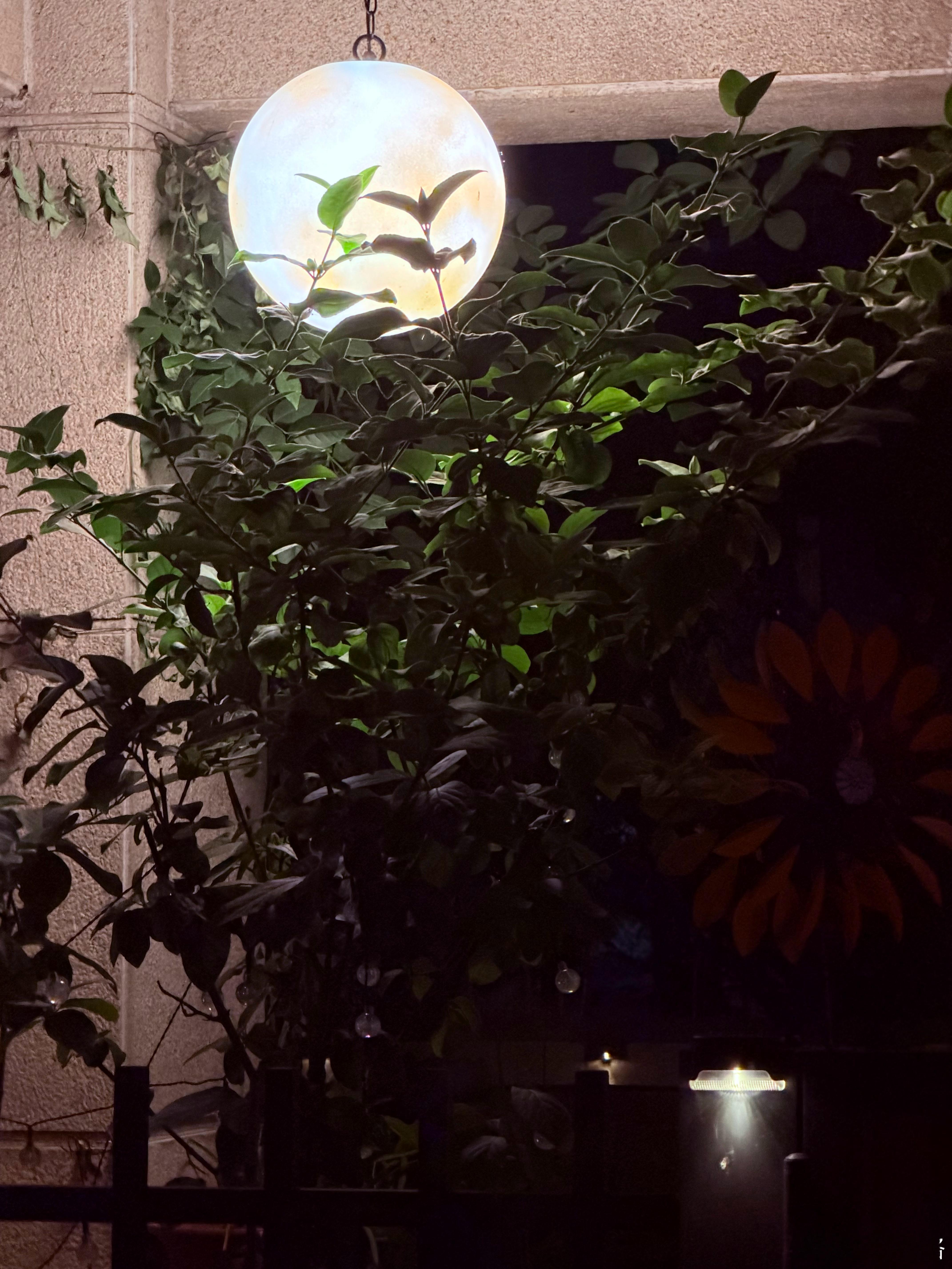 邻居家夜明的灯 