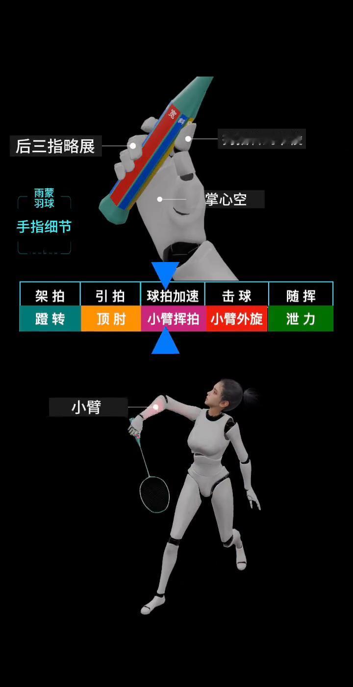 ·架拍，引拍，球拍加速，击球，随挥，蹬转，顶肘，小臂挥拍，小臂外旋，泄力。
·拇