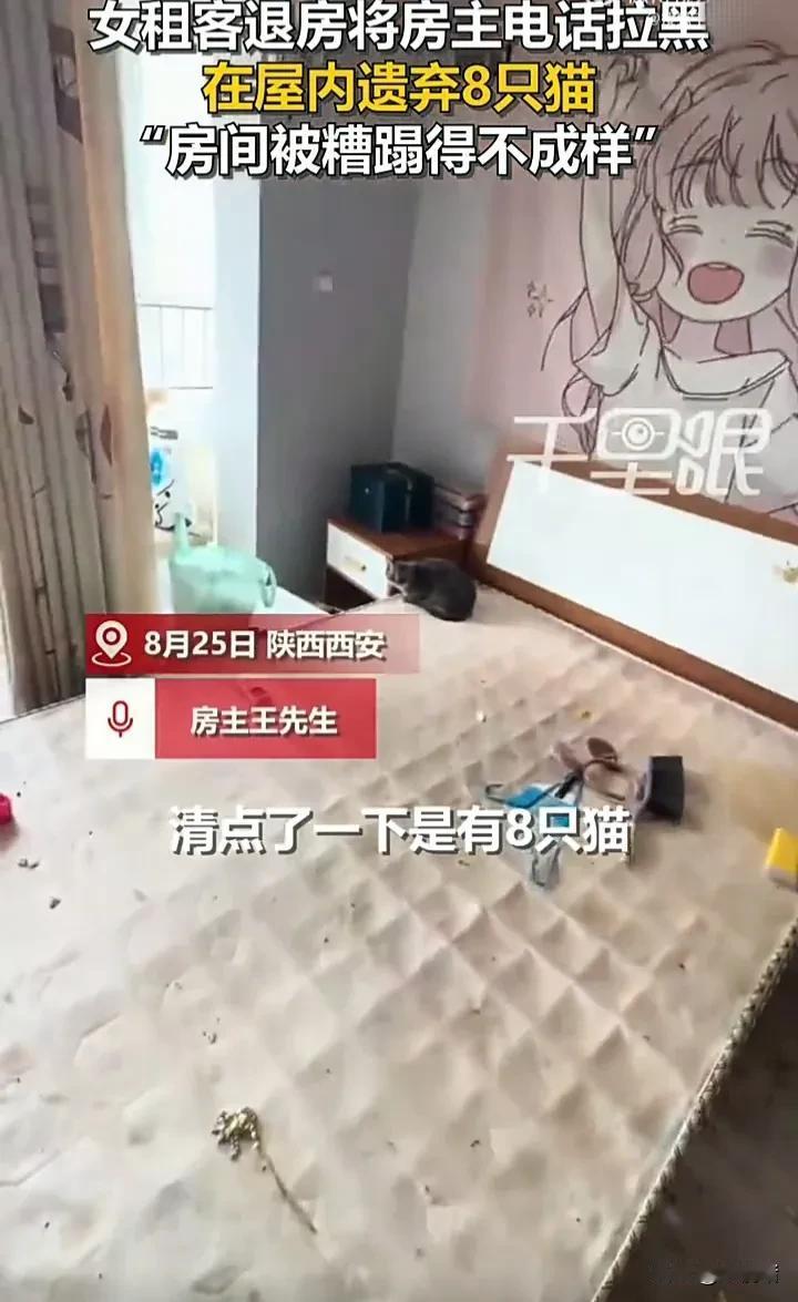 既然养了宠物，就应该对它负责！近日，陕西西安一位女租客退租后，答应房东离开前会把