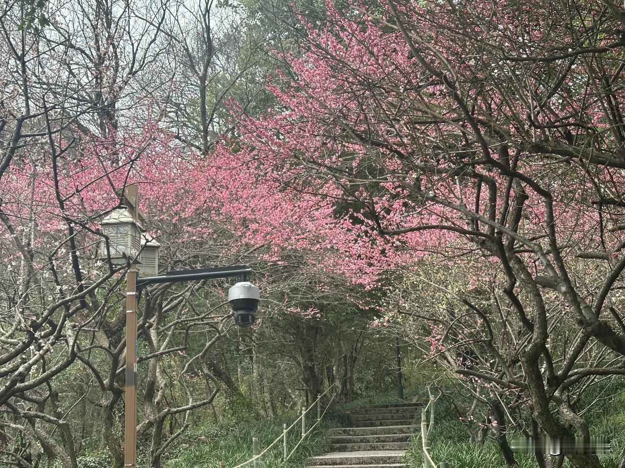 刚又看到一位男孩子妈妈在网上控诉自己的儿子找了一个她非常不满意的对象，还坚持要结