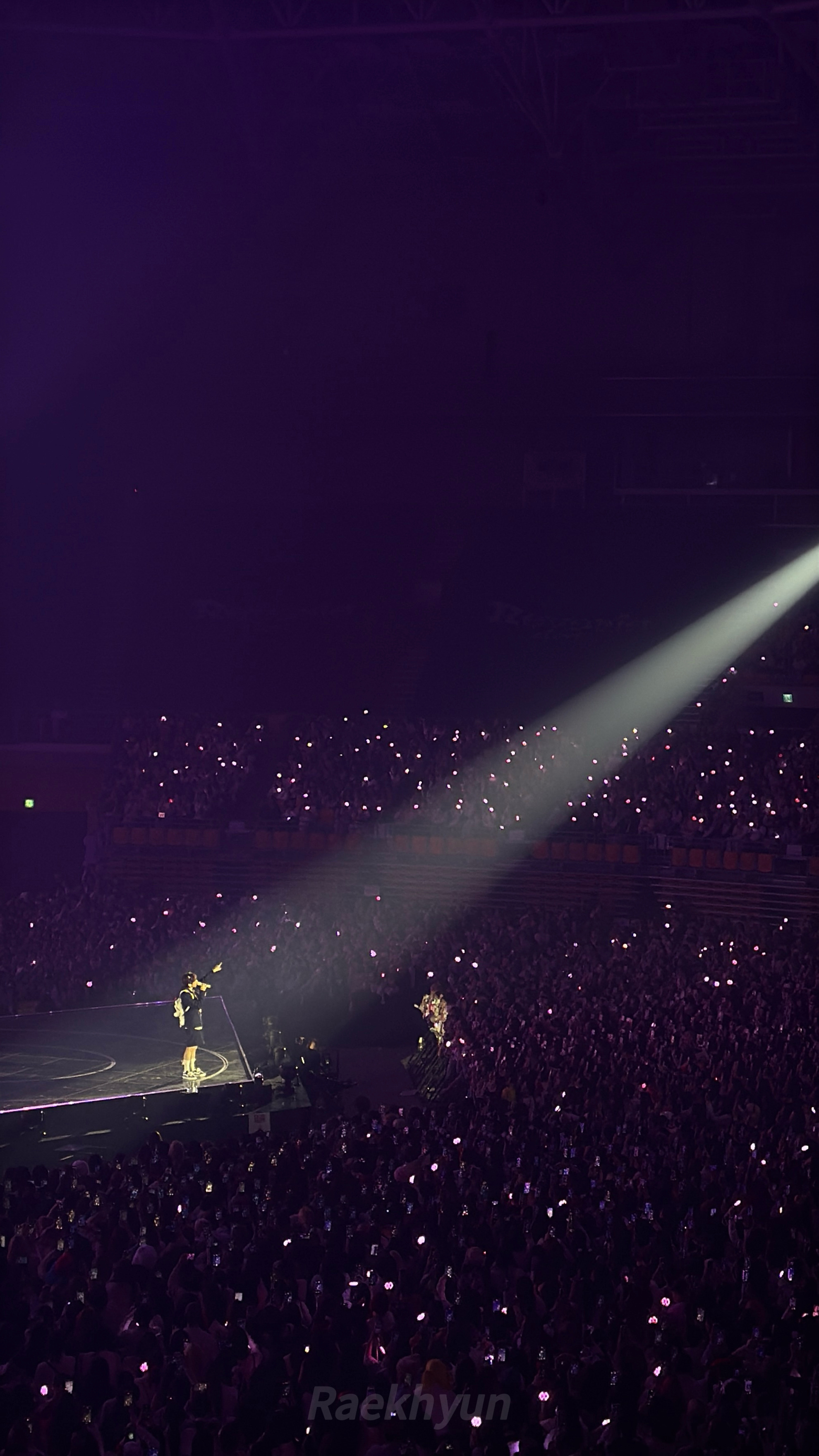 总之我会成为爱丽们强大的力量 