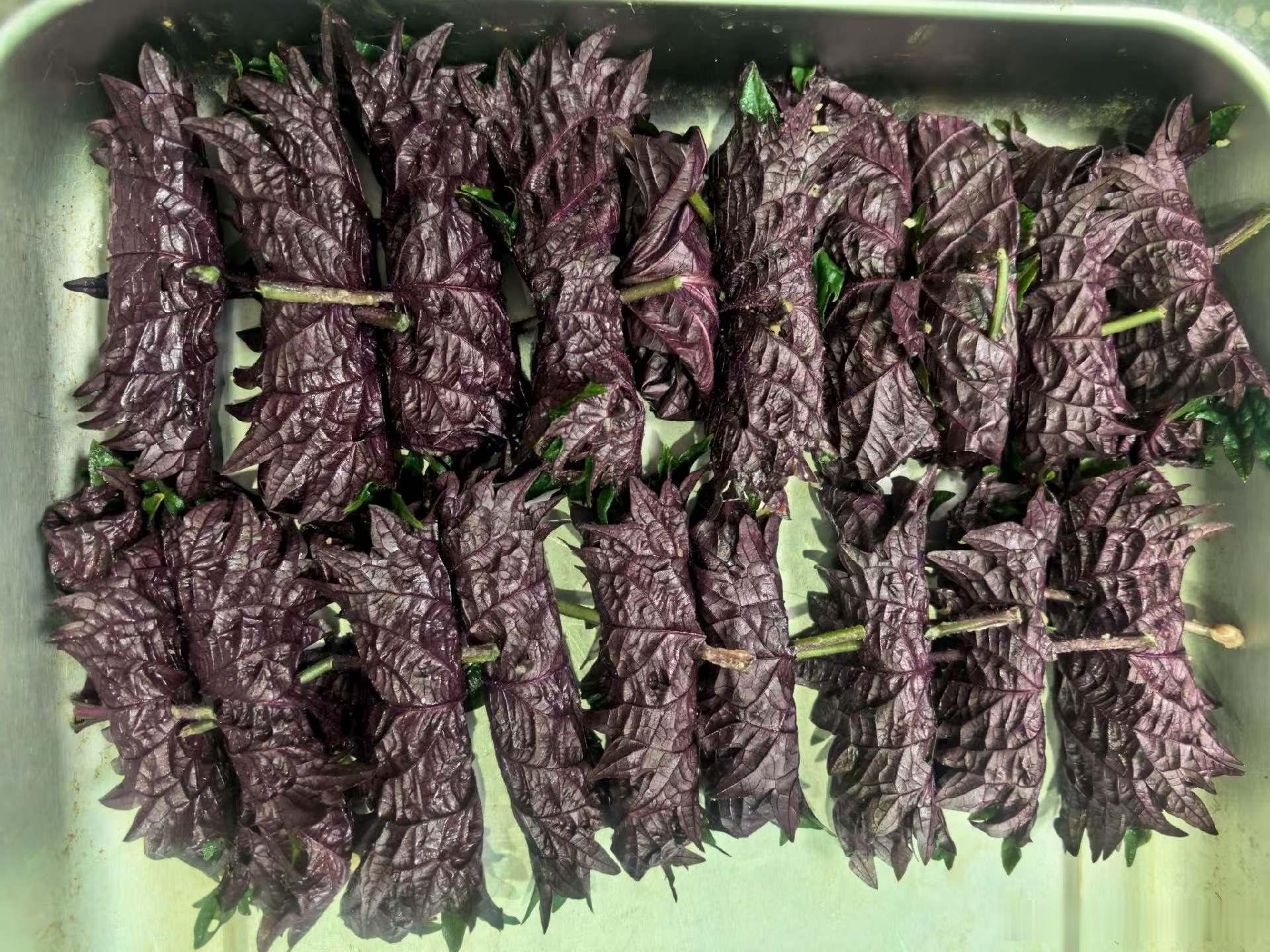 紫苏肉卷        大娘院子里紫苏成熟了，我们都是香料控即：香菜、藿香、紫苏