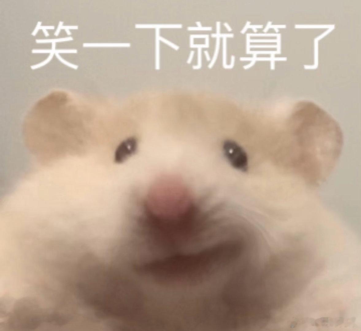 laylay，谁来给我充个电 