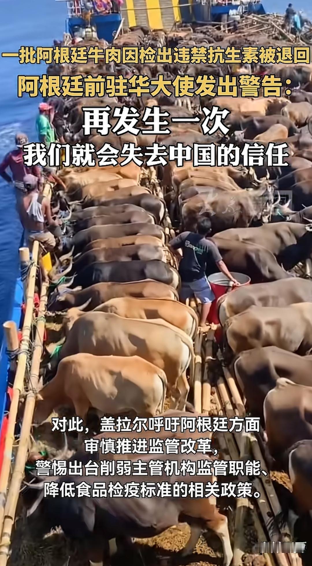 我国进口牛肉中，阿根廷牛肉竟然占了20%！
  根据海关总署数据，我国年进口阿根