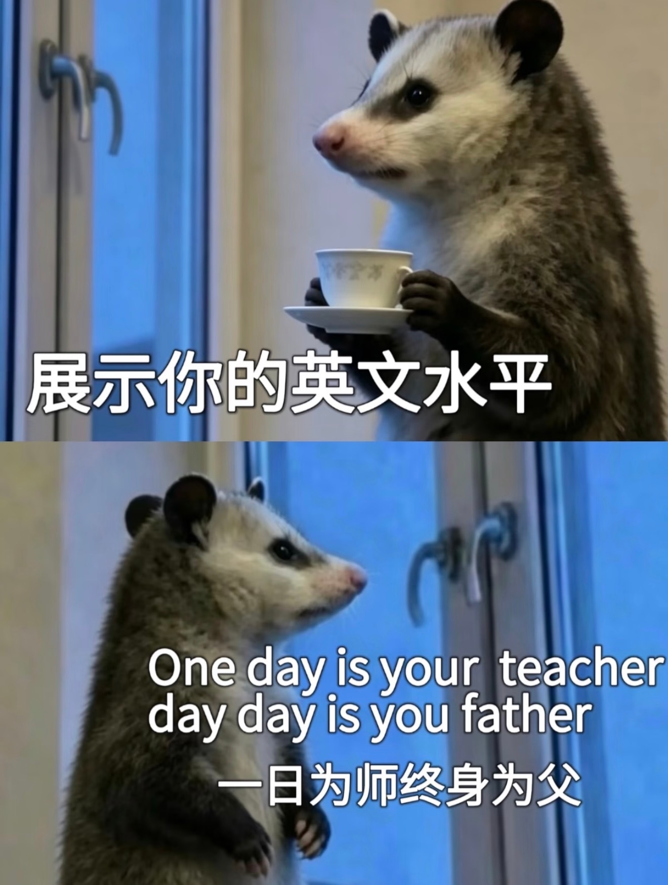 企业出海，逐鹿全球是下一个阶段人民老百姓能不能过上好日子的关键，所以我觉得英语还