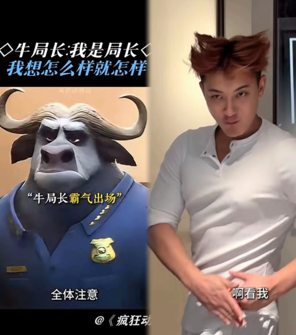 黄子韬徐艺洋cos尼克朱迪: 感觉更像牛局 ，这魁梧的身材