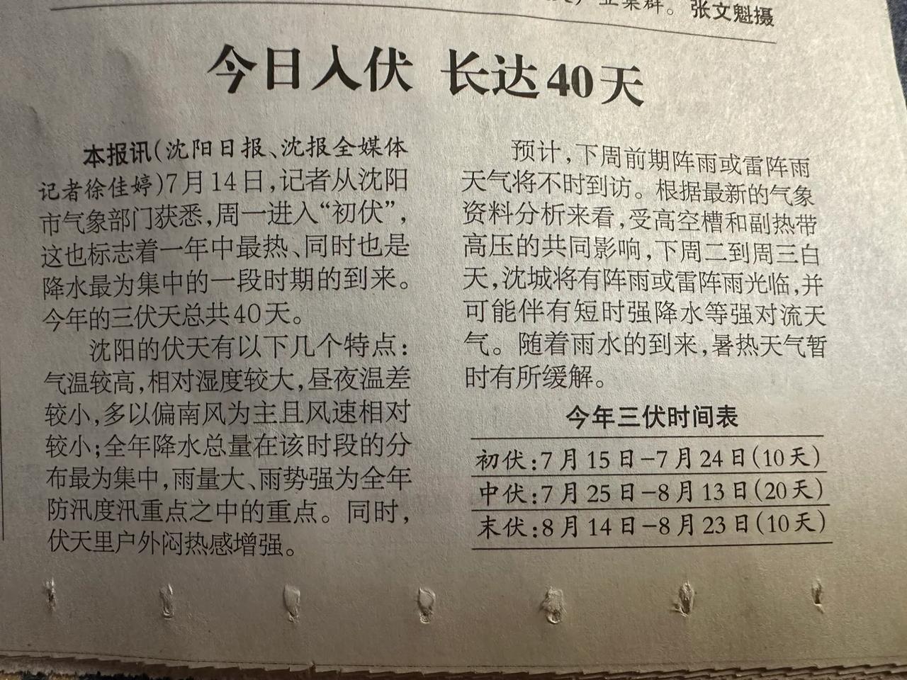 #夏季日常随手拍#入伏也快立秋了，没几天了。