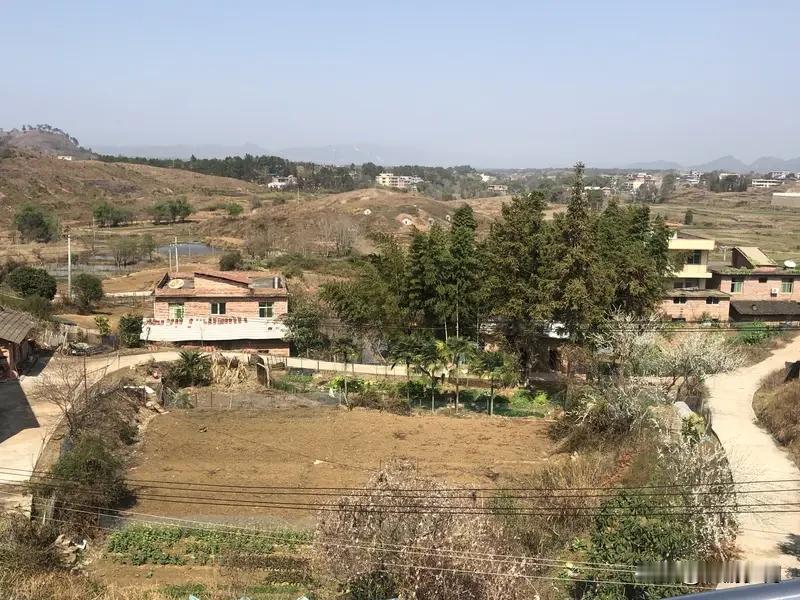 据网络主播  @好学荷叶5X  1月1日消息，各地网友前往罗大美老家祭奠大美，我