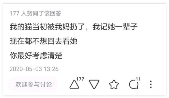 扔你猫大概只是一个借口吧，怕不是回去了得干活吧 