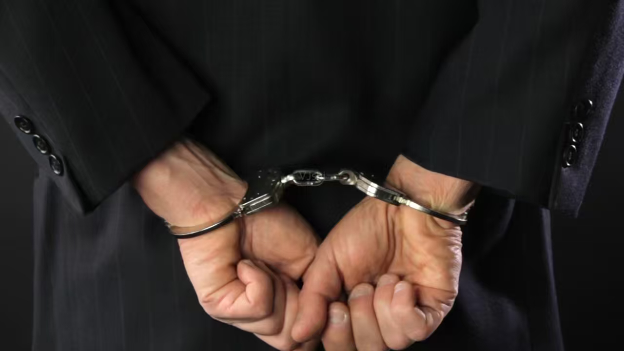 山姆打包哥被行拘家中幸存三只小狗已送往医院救助，十余只受害宠物下落不明，期待后续