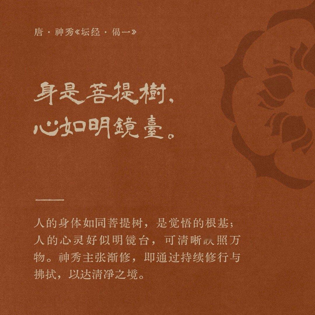 无上治愈，境界高远 ​​​