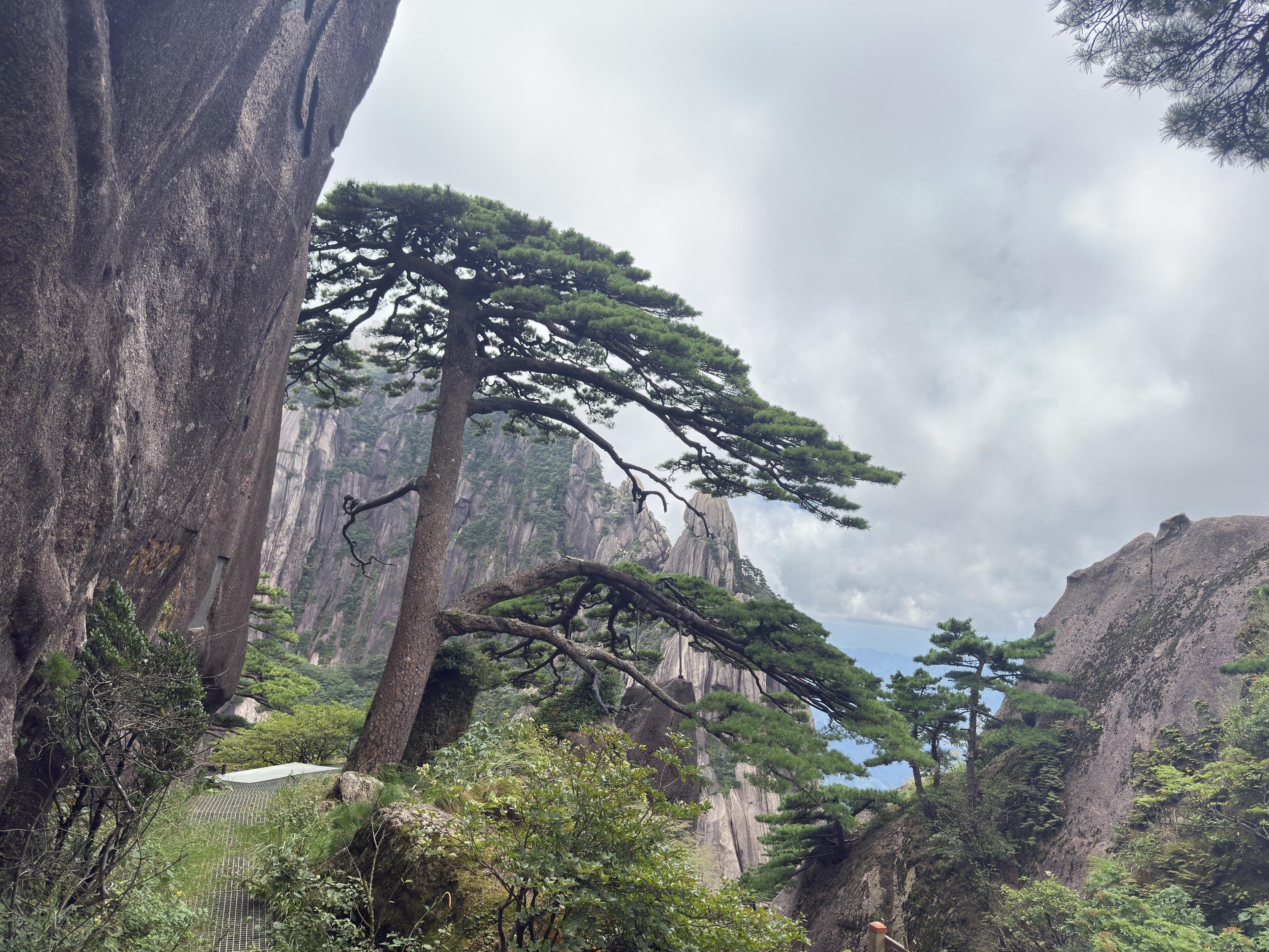 你性命相托，我必全力以赴。感谢信任！86岁，反复消化道出血1年多，血色...