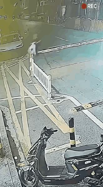 这摩托以后就别骑了
骑的都看不清路了