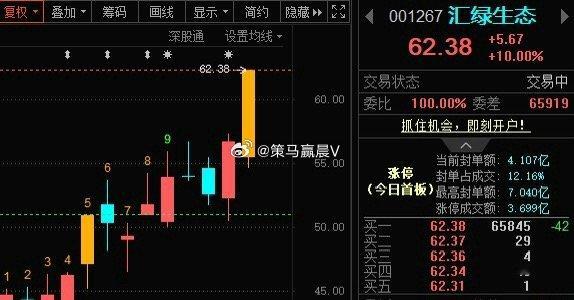 汇绿生态001267📈有朋友关注吗？ 