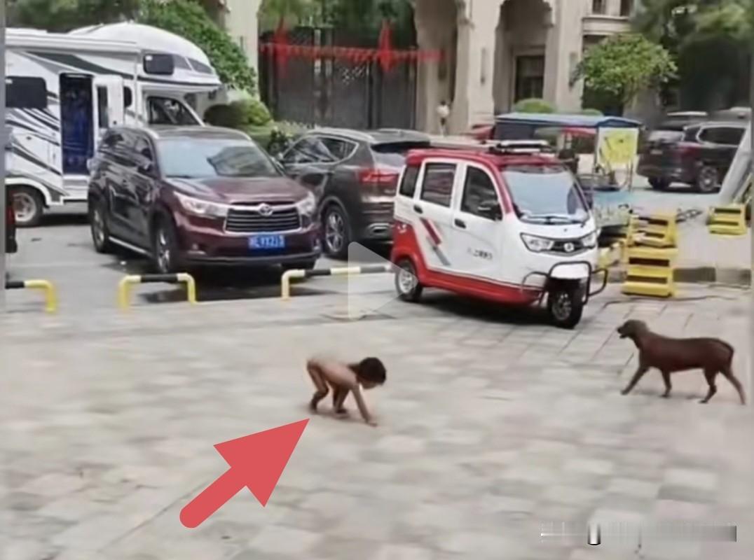 “野人小孩”这事，
我惊讶的是为什么到现在才会引起社会舆论的关注。

从各种网络