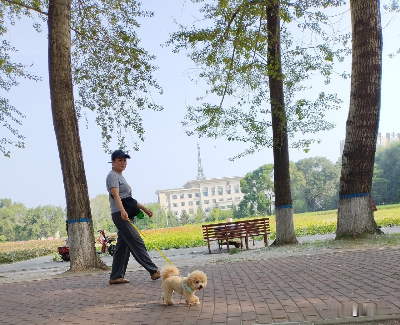 灵犬
闲逛花园手牵绳，
汪汪嘻戏前后腾。
荏苒时光心灵伴，
请续句……
（大道和