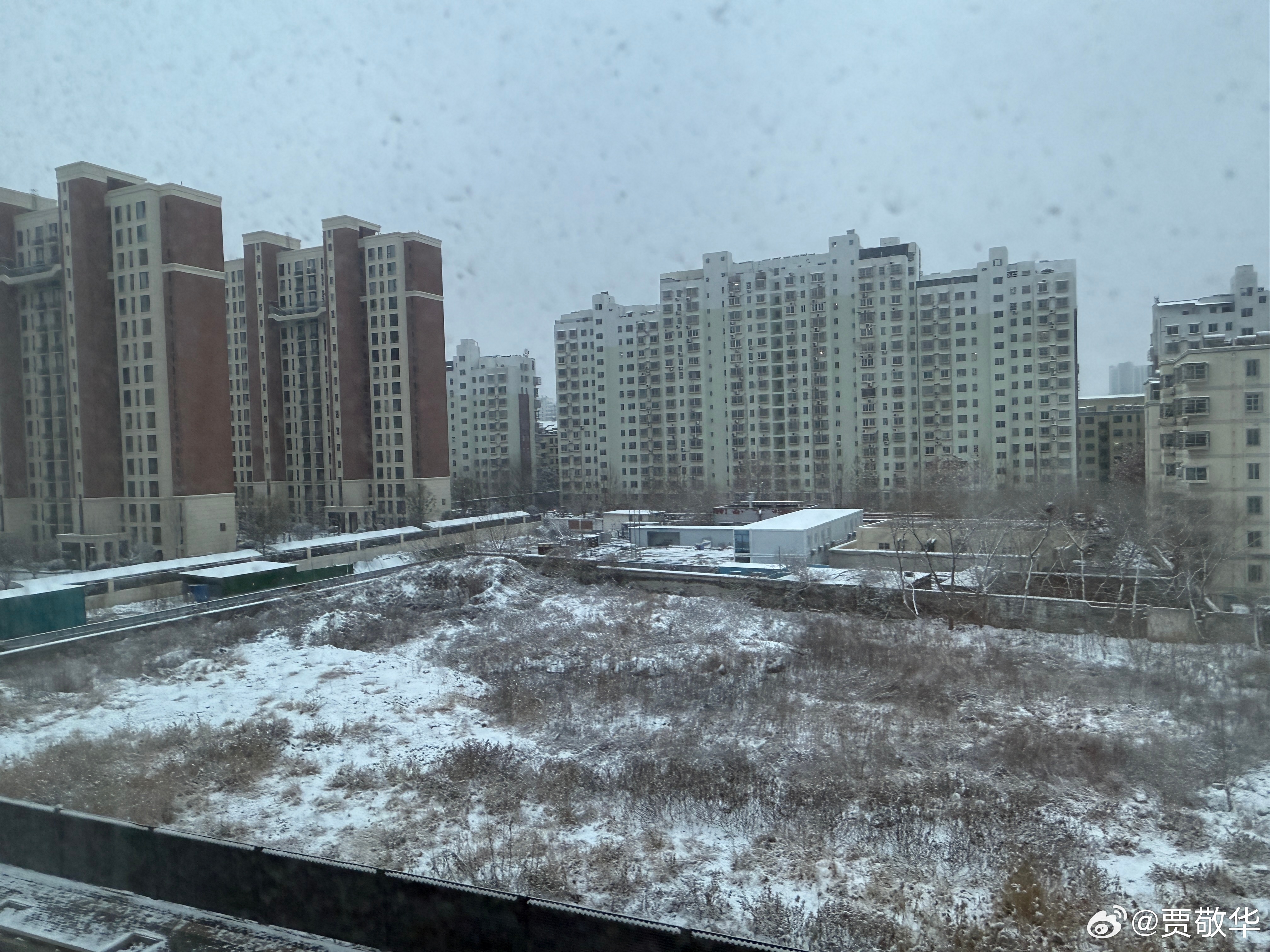 #每天早起打卡# 2025年的第一场雪停了，路上似乎没有积雪。起床，打雪仗去！ 