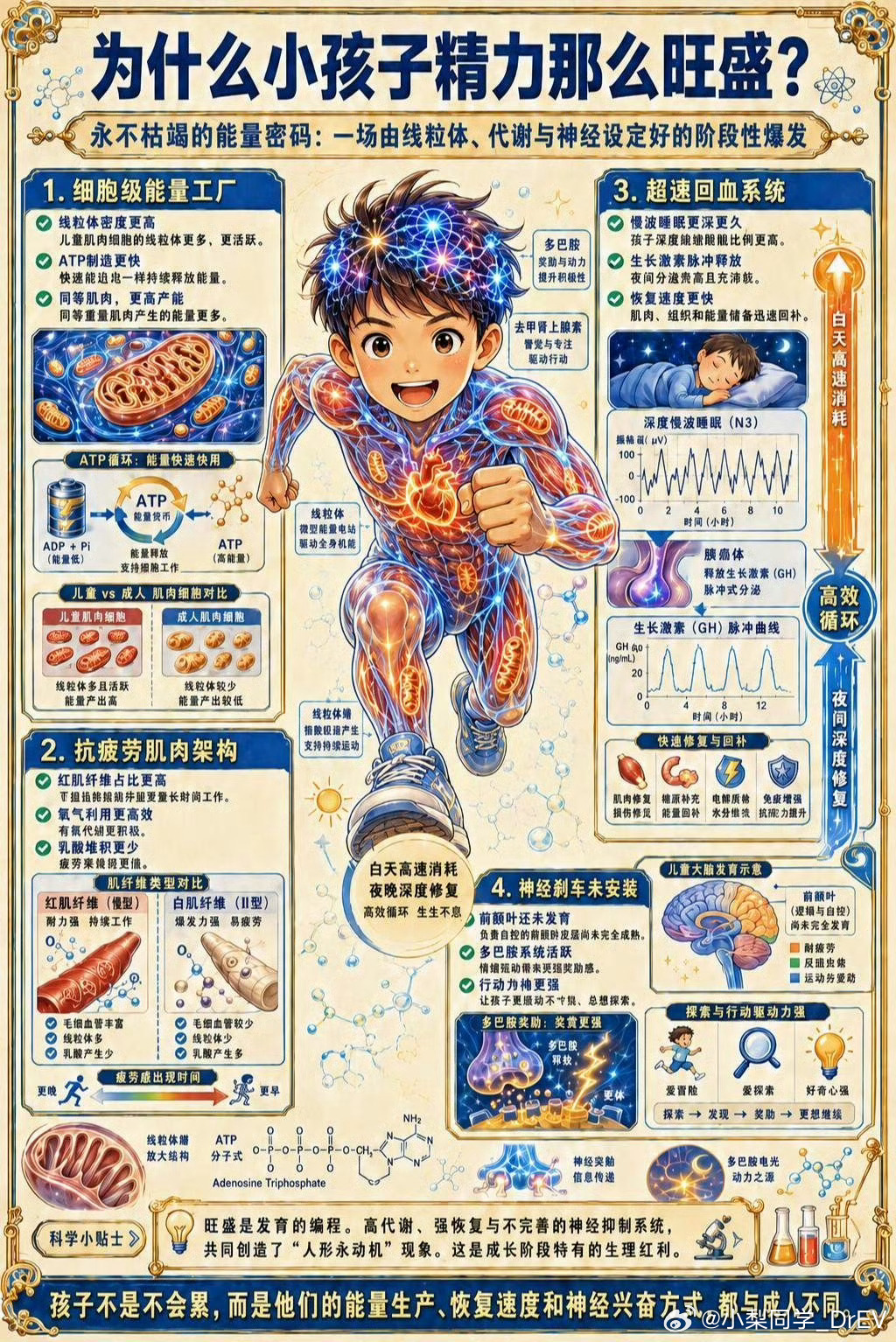终于知道小孩为什么不会累了✅肌肉耐力天生更强孩子肌肉红肌纤维占70%，成人只有一