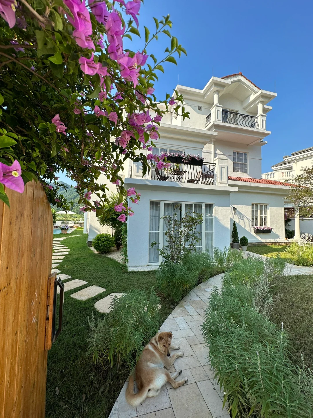 这样的家你可以多少天不出门🤓