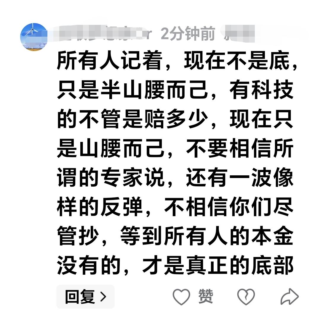 基金：所有人记着，现在不是底，只是半山腰而已，有科技的不管是赔多少，现在只是山腰