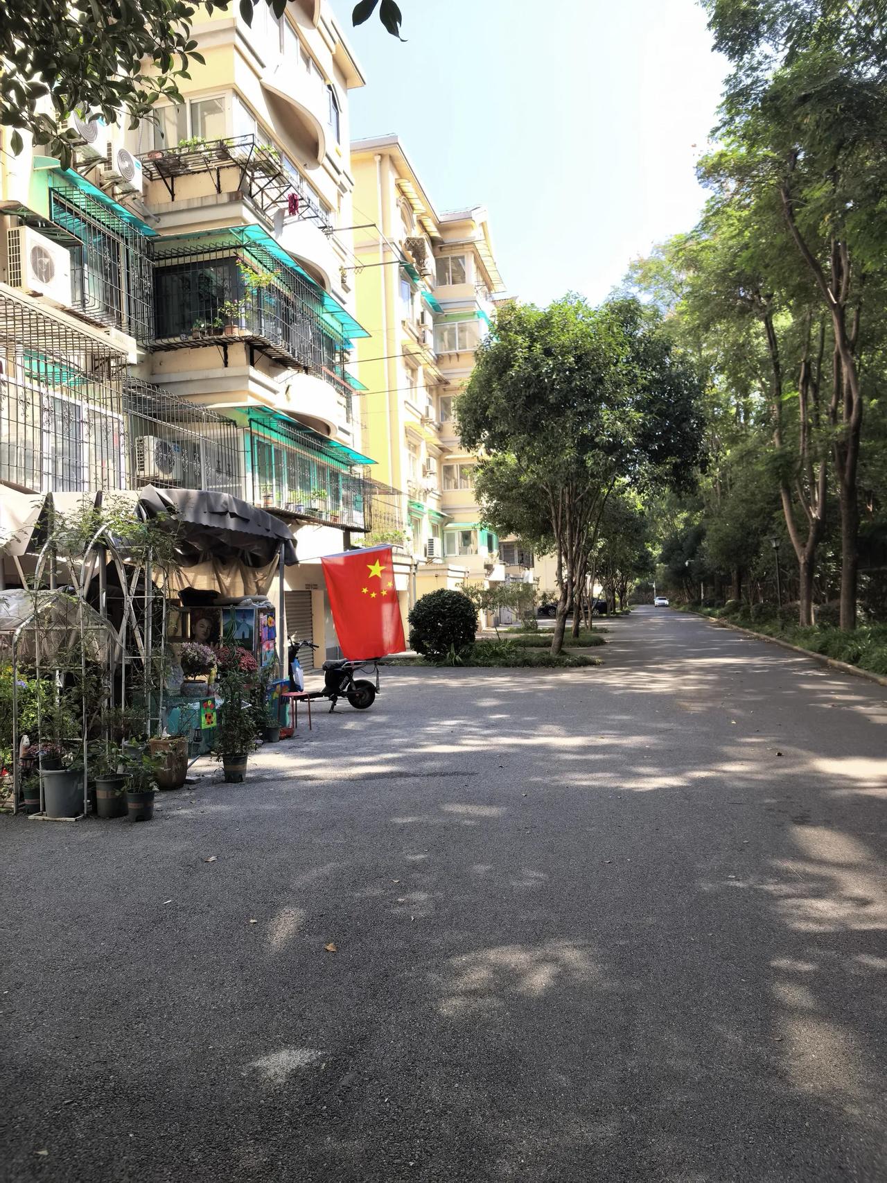 小区里的一家人在自己的地下室外面插了一副很大的五星红旗，为国庆节里的小区添上一抹