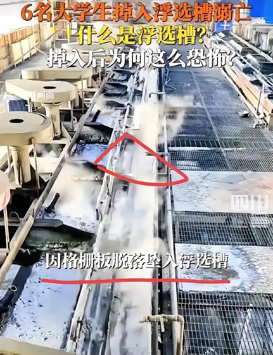 东北大学的六个大学生的事，让人太痛心，有人说孩子可以再生，但白白养了20多年，付