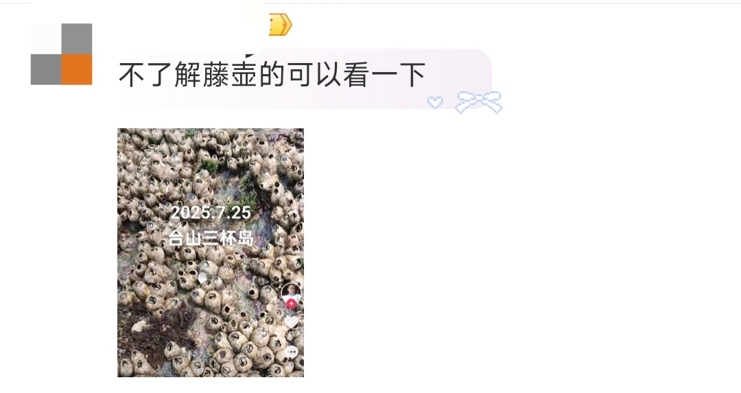 小黄豆曝小澈背上有很多像藤壶的东西吃个🍉长知识了，网友分享的藤壶图。 