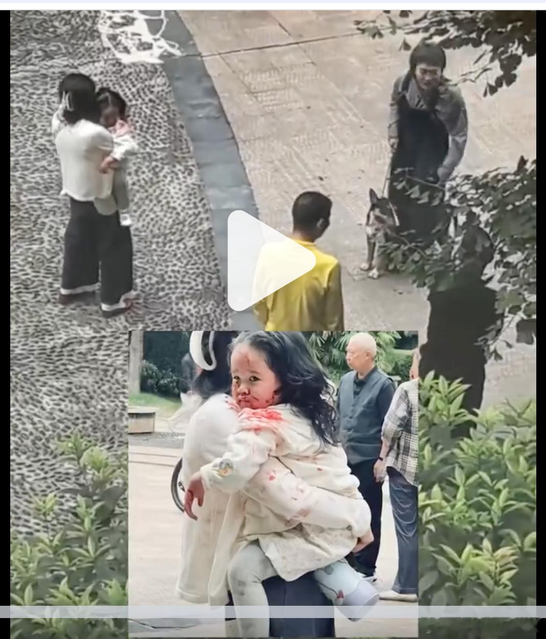 某政协微博帐号说：让非养犬居民理解养犬人寄托在宠物身上的情感价值。安徽农科院人大