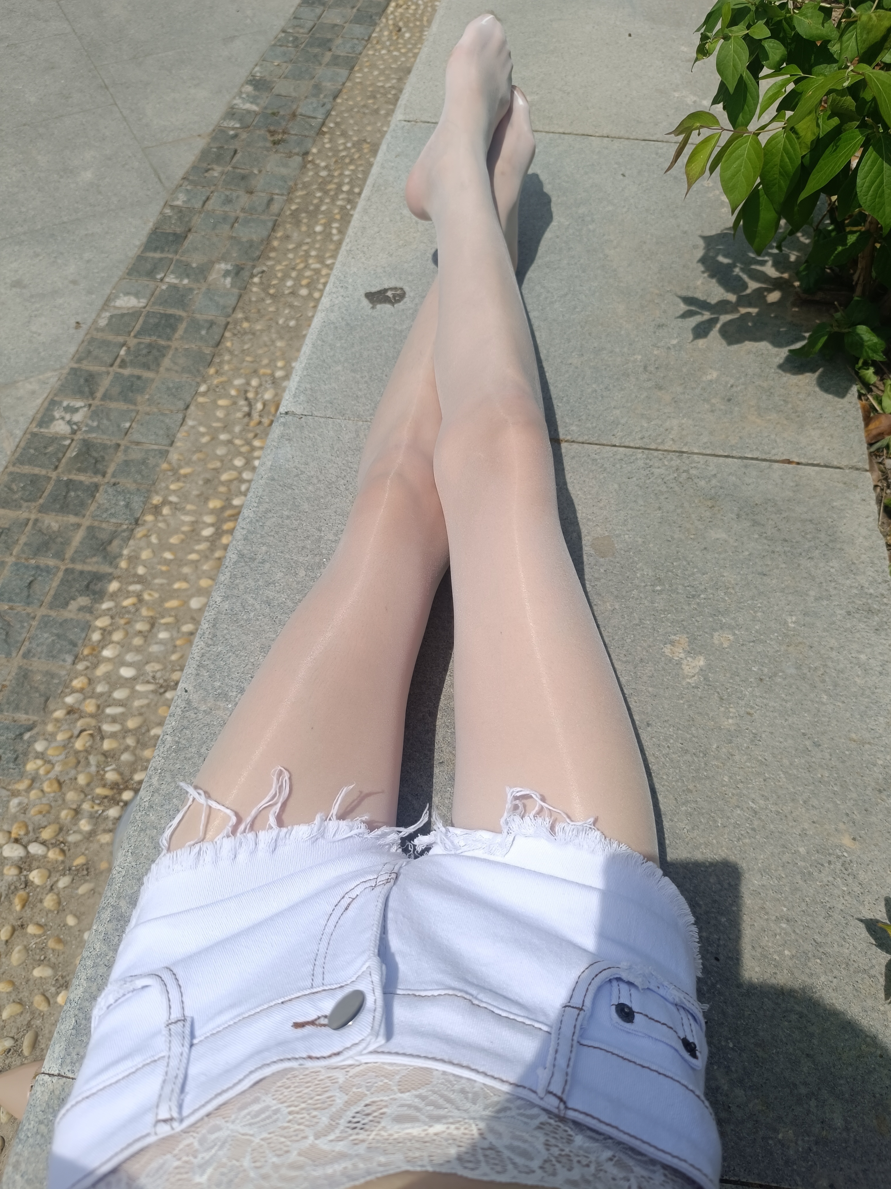 阳光真的好棒！今天可以出门lou腿腿了[羞嗒嗒][羞嗒嗒] 轻禾无瑕轻禾qing