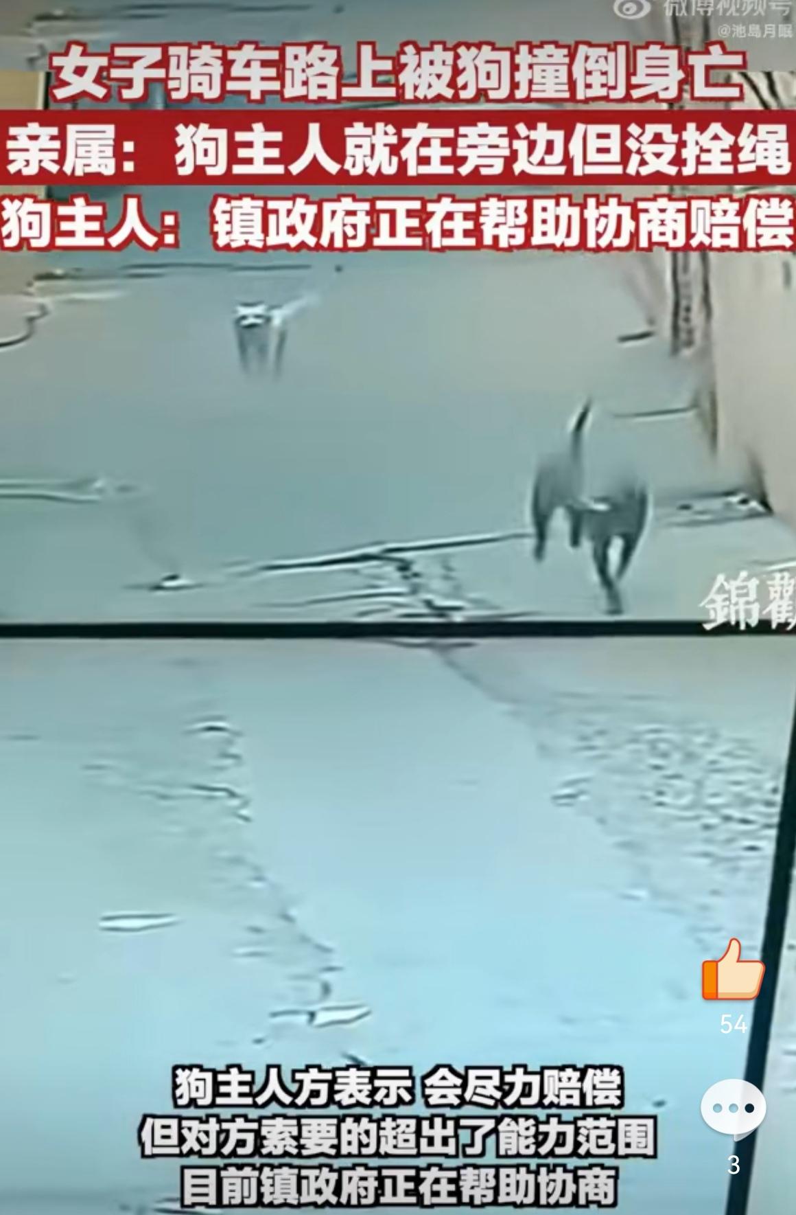 【人命关天！河北女子骑电动车遭没拴绳马犬撞倒身亡，狗主人竟把狗扔废井】

谁能想