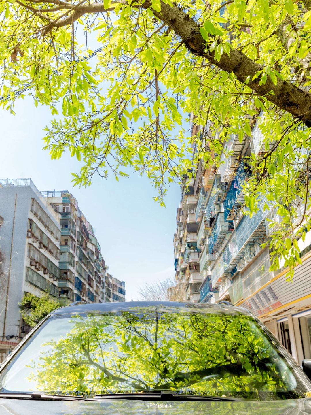 我把春天搬进了车里！