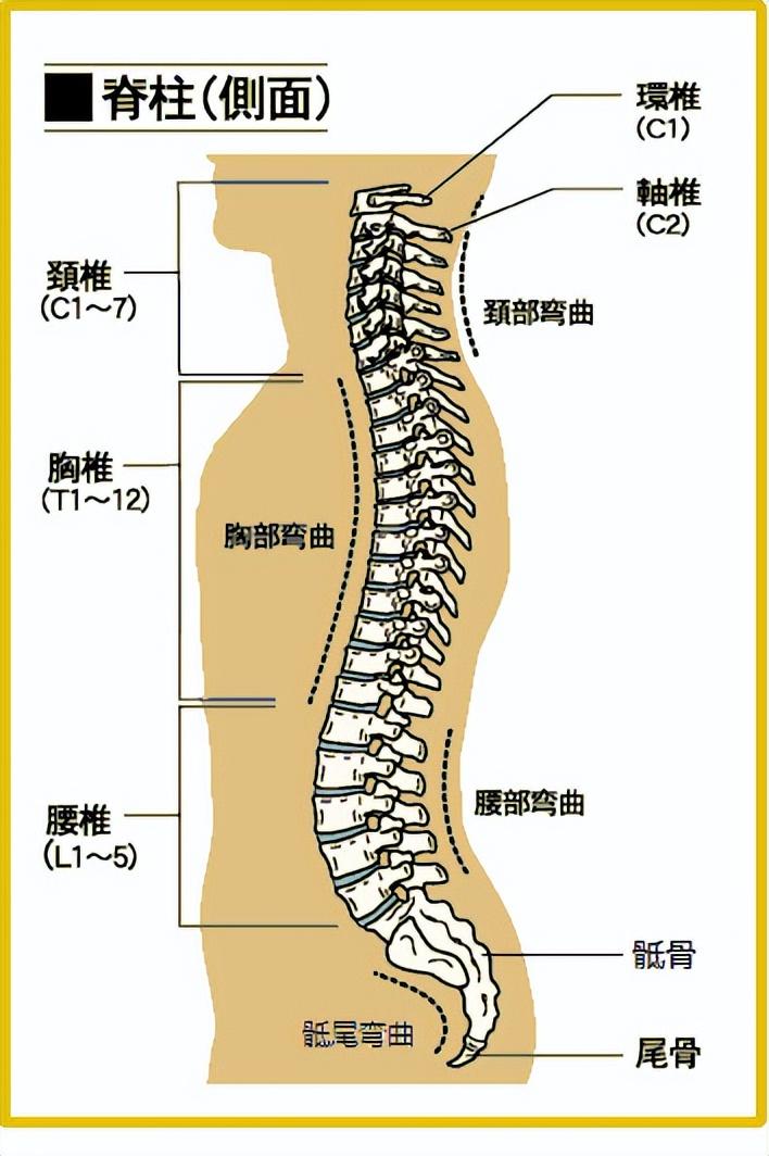 腰不好能不能练功？练功能不能治好腰？要分清楚状况，不要混淆三件事！

看到针对腰