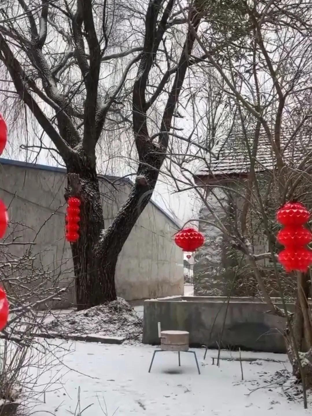 七律•风摇霜树
芳芳


冬至寒来夜最长，风摇霜树诉离殇。
窗前独守一钩月，梦里