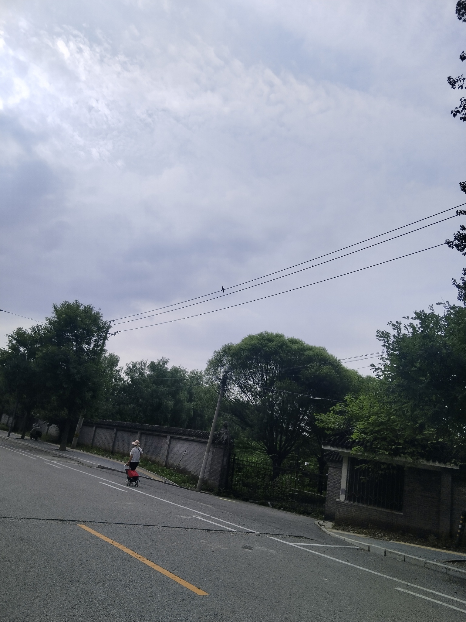 曲折的道路。 虽然是曲折的，但前途是光明的……生活碎片 我眼中的世界 沐月记  