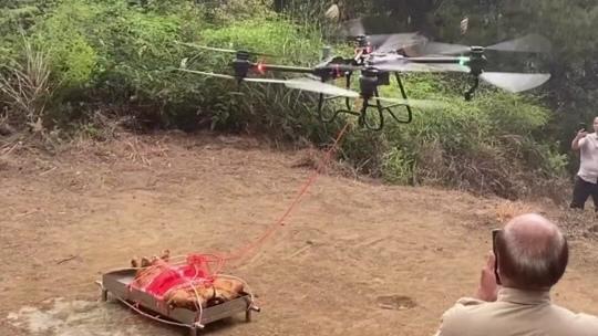 近日，广东梅州的一位男子用无人机将猪羊吊运上山祭祖，这一新奇的做法引起了不少关注