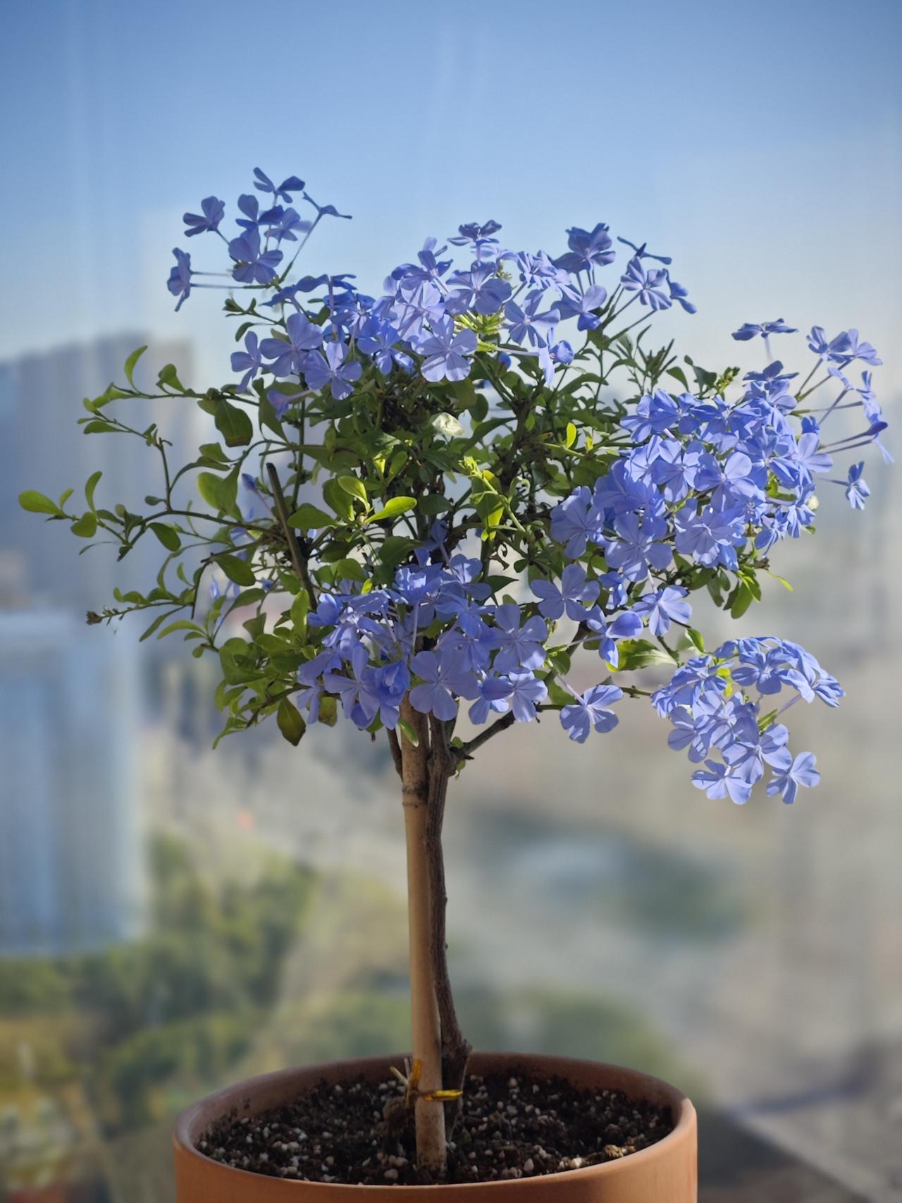 画画也就是业务爱好