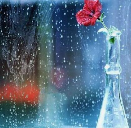 金钱第一，爱情倒数的星座1、金牛座金牛座看重感情，更看重金钱。他们非常踏实，非常