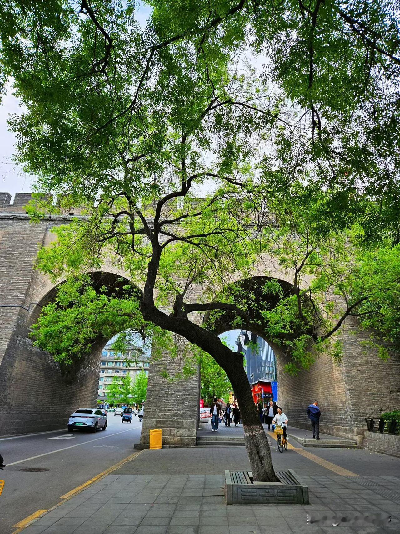 穿越时光的城门，绿树掩映下的历史韵味游玩居家穿搭分享 你见过云海吗？ 江南园林穿