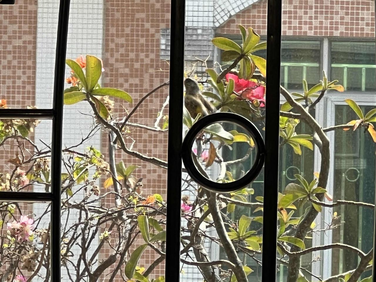 你认为年味越来越淡的原因是什么忙于挣钱