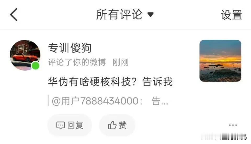 看到这样的人，有必要多说一句吗？华为有什么领先的技术，有什么硬科技，告诉你能怎么