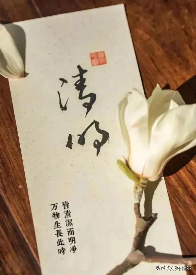清明祭祖

清明时节雨丝纷，
洒落人间泪几痕。
碑前默立花绽处，
青烟缭绕念亲恩
