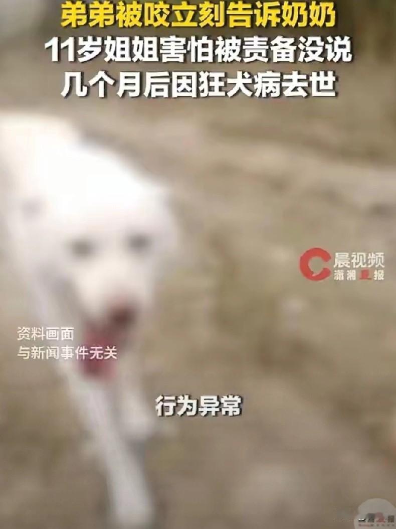 这结局太残忍了。

湖姐弟俩同时被自家土狗咬伤，弟弟因为家长的及时介入捡回一条命