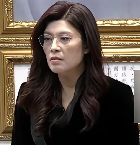 郑丽文终于下定决心，在国民党中常会上郑丽文决定在今年的4—6月之间到访大陆。
 