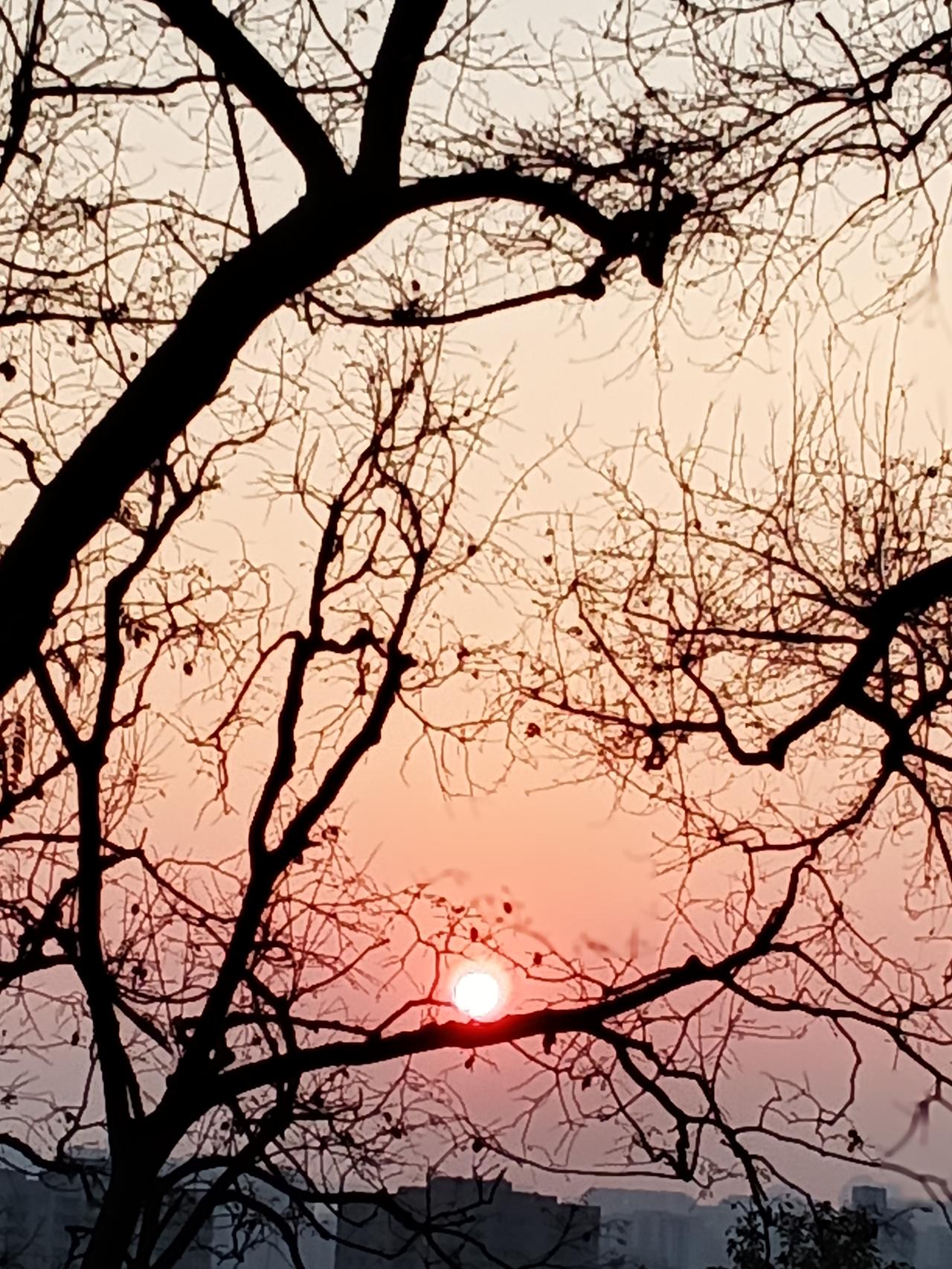 红日东升霞万丈，