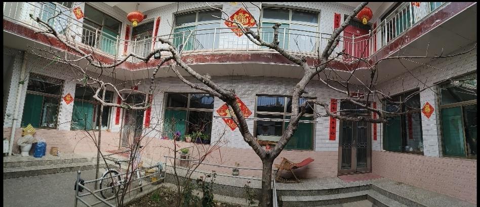 分享今日的感悟今天在一个朋友家看到一颗超级大的无花果树！我采用全景模式拍下来，分