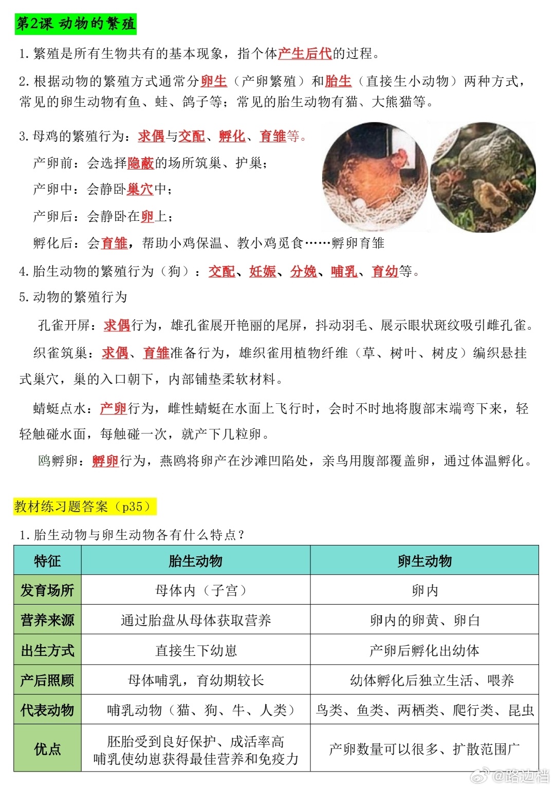 今天复习「科学」，看到动物繁殖这一课，他直接来一句，“所以你跟妈妈交配过咯？”…