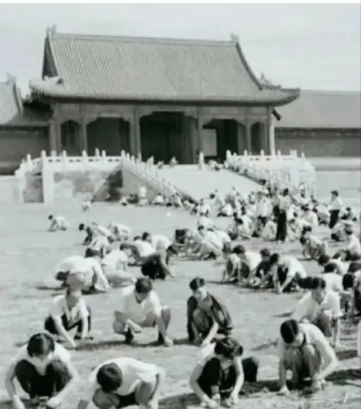 1949年，国家组织了7万人在故宫里清理垃圾，花了9个月清理出清末以来近40年的